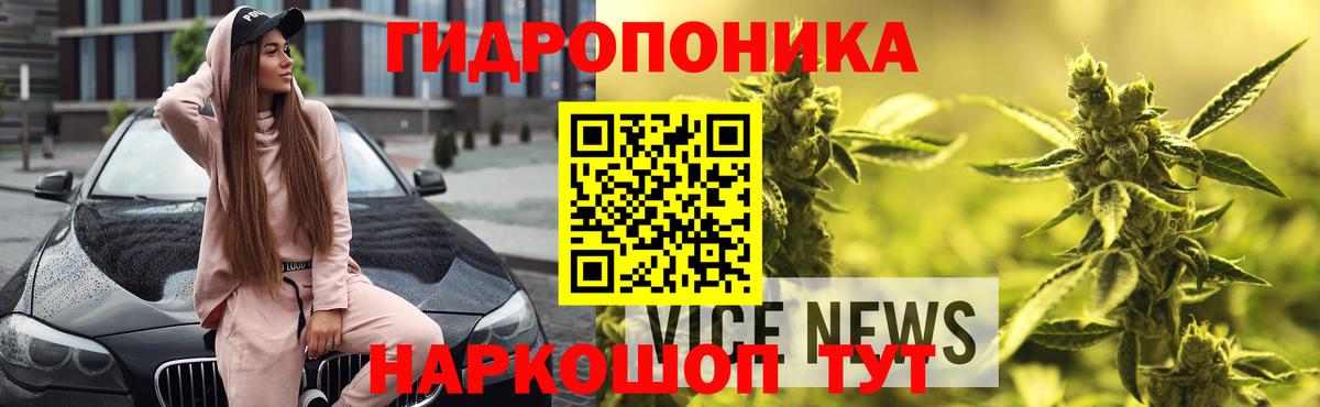 Конопля OG Kush Бийск